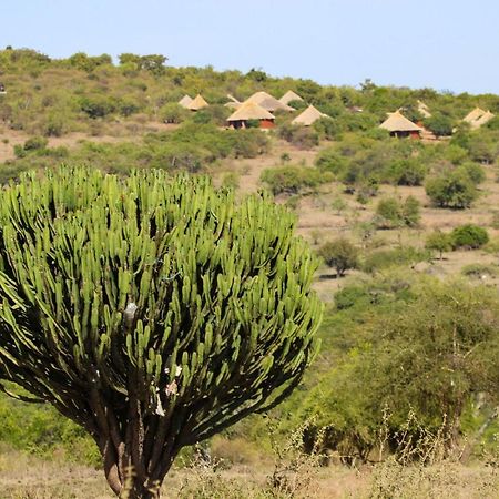 Africa Safari Maasai Boma Camping Serengeti Exteriör bild