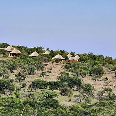 Africa Safari Maasai Boma Camping Serengeti Exteriör bild