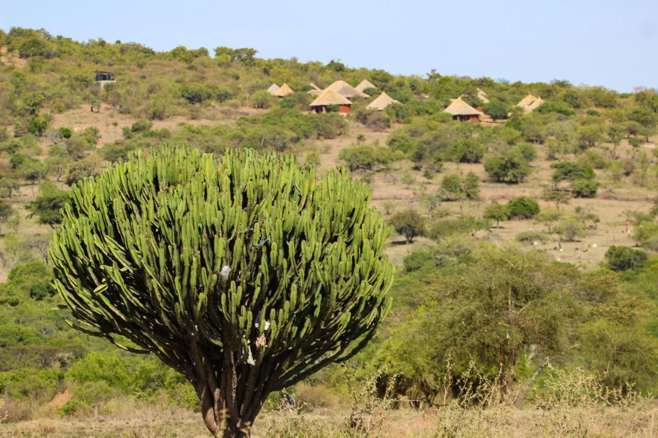 Africa Safari Maasai Boma Camping Serengeti Exteriör bild