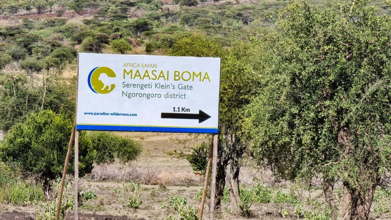 Africa Safari Maasai Boma Camping Serengeti Exteriör bild